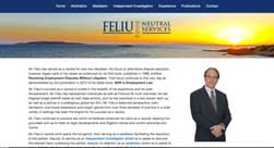 Website Design for Feliu Neutral Services New York
